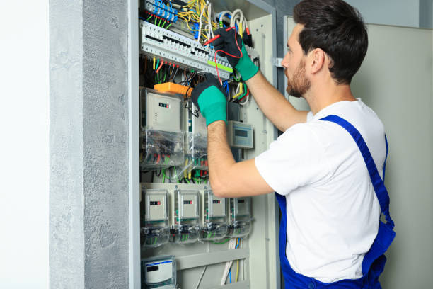 Best Electric Panel Repair  in Parole, MD